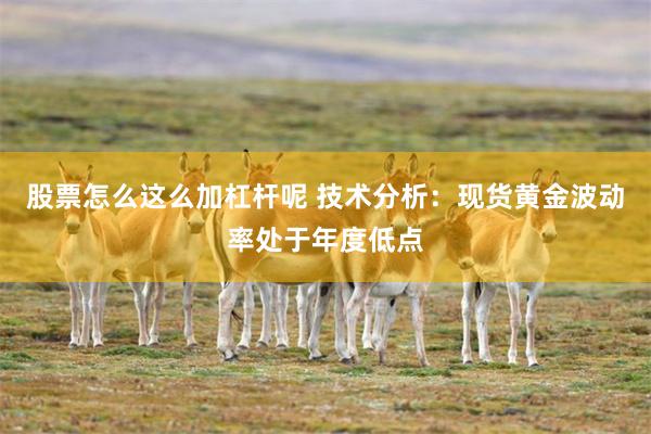 股票怎么这么加杠杆呢 技术分析：现货黄金波动率处于年度低点