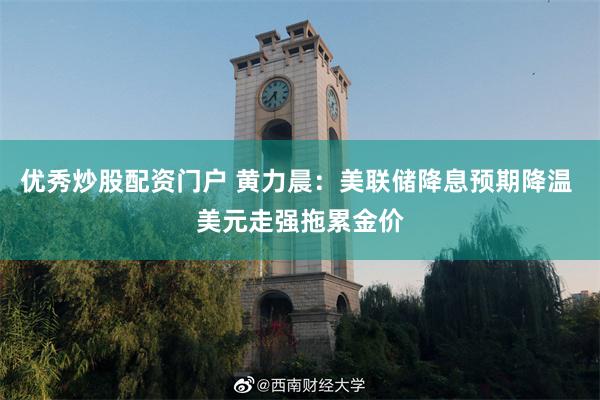 优秀炒股配资门户 黄力晨：美联储降息预期降温 美元走强拖累金价