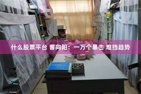 什么股票平台 曹向阳：一万个暴击 难挡趋势