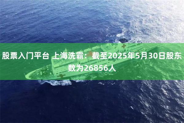 股票入门平台 上海洗霸：截至2025年5月30日股东数为26856人