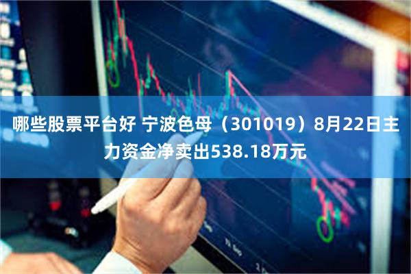 哪些股票平台好 宁波色母（301019）8月22日主力资金净卖出538.18万元