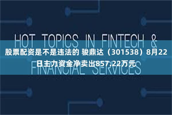 股票配资是不是违法的 骏鼎达（301538）8月22日主力资金净卖出857.22万元