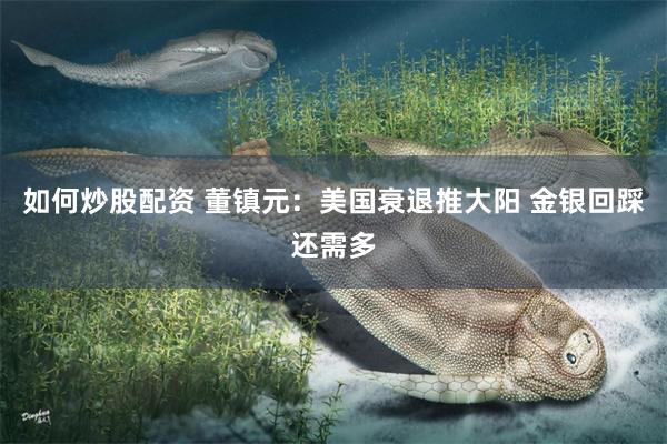 如何炒股配资 董镇元：美国衰退推大阳 金银回踩还需多