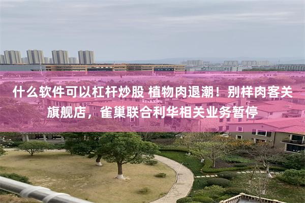 什么软件可以杠杆炒股 植物肉退潮！别样肉客关旗舰店，雀巢联合利华相关业务暂停