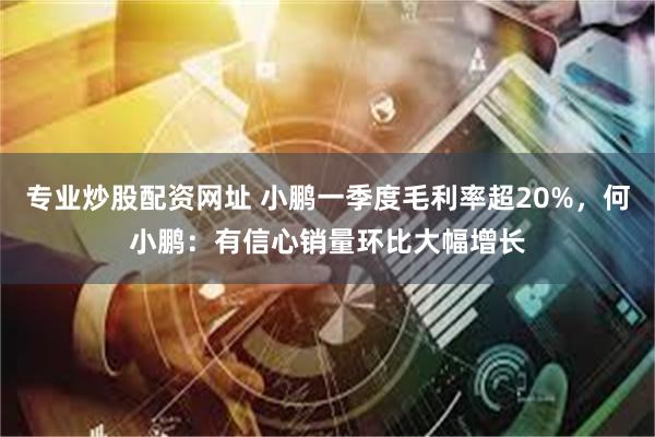 专业炒股配资网址 小鹏一季度毛利率超20%，何小鹏：有信心销量环比大幅增长