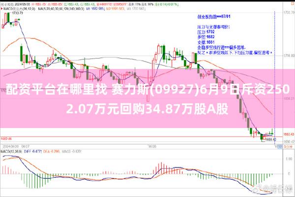 配资平台在哪里找 赛力斯(09927)6月9日斥资2502.07万元回购34.87万股A股