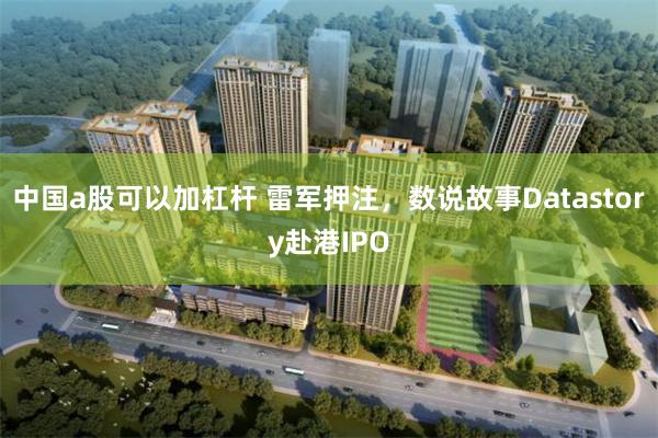 中国a股可以加杠杆 雷军押注，数说故事Datastory赴港IPO
